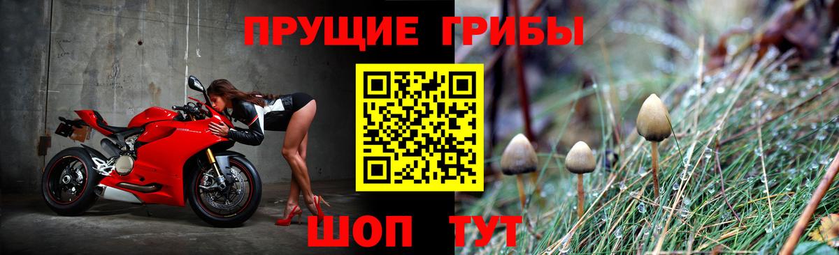 Псилоцибиновые грибы Magic Shrooms  Вход с VPN  Набережные Челны 
